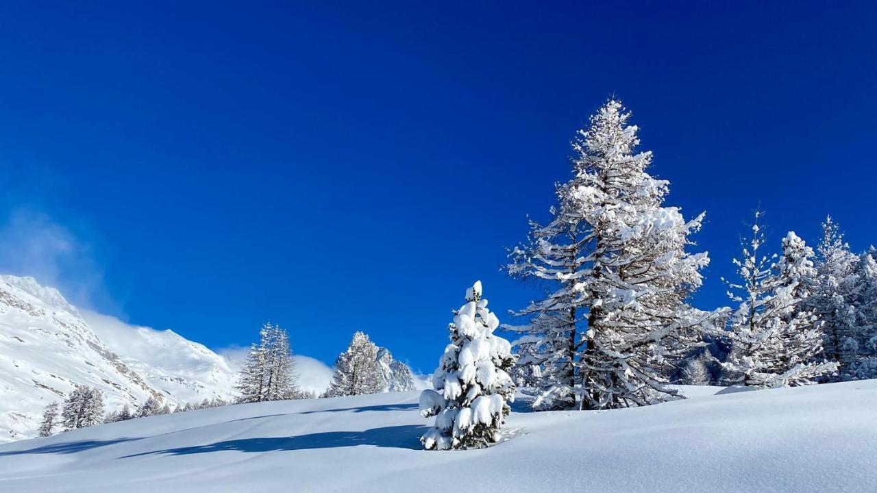 Maloja Kulm Hotel מראה חיצוני תמונה